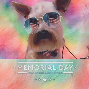 Meet your Posher, Marilyn